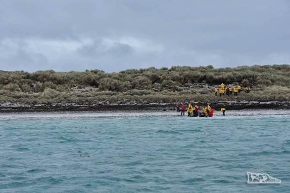 Um zodiac desembarca seus passageiros em Dyke Bay, praia de Carcass Island, no noroeste das Ilhas Malvinas